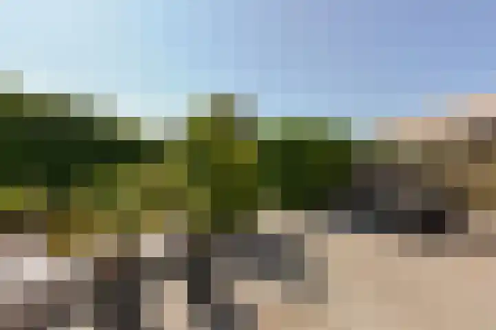 Rietveld 38 Mijdrecht thumbnail 31