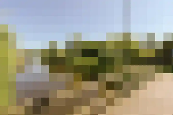 Rietveld 38 Mijdrecht thumbnail 40