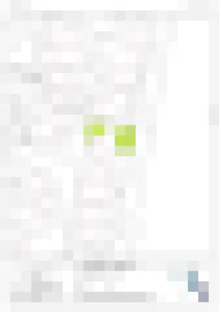 Rietveld 38 Mijdrecht thumbnail 45