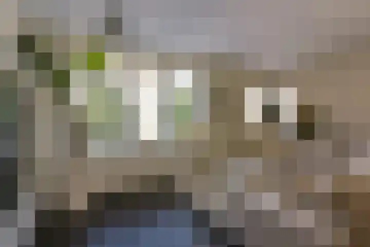 Rietveld 38 Mijdrecht thumbnail 5