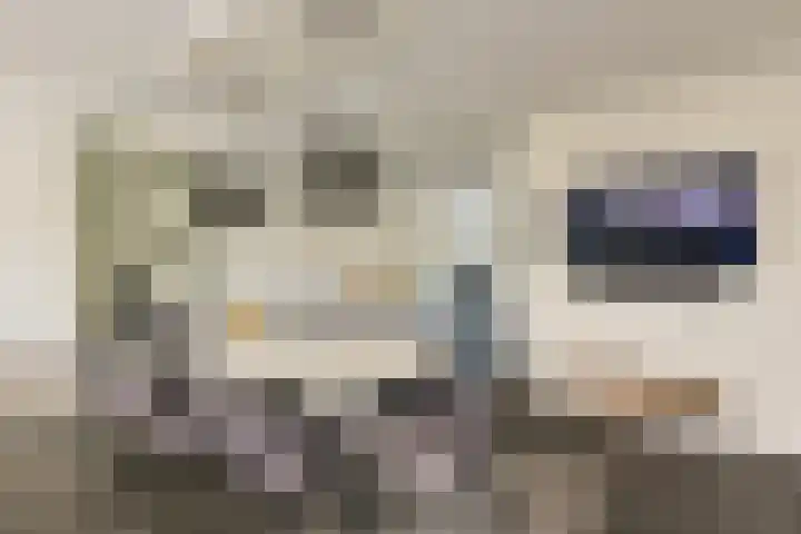 Rietveld 38 Mijdrecht thumbnail 8