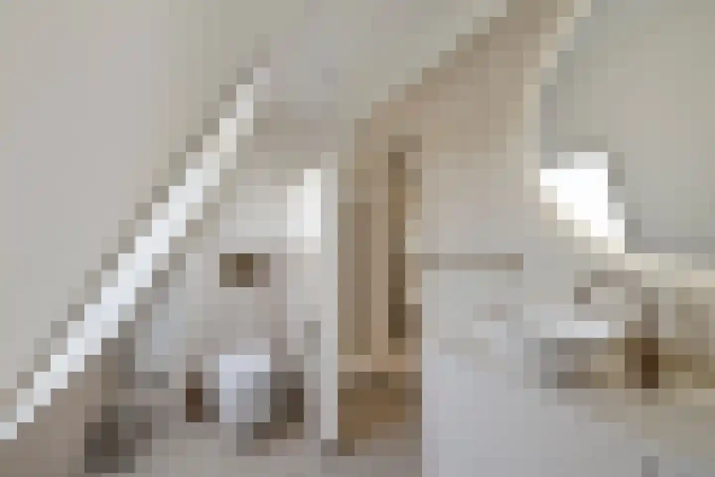 Rietveld 5 E Woerden thumbnail 27
