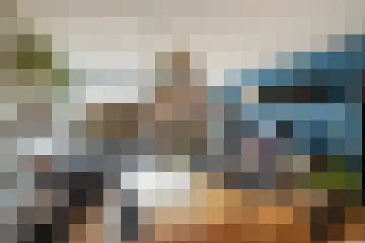 Rietveld 5 F Woerden thumbnail 10