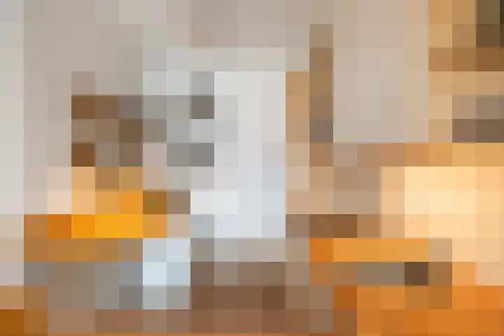 Rietveld 5 F Woerden thumbnail 16
