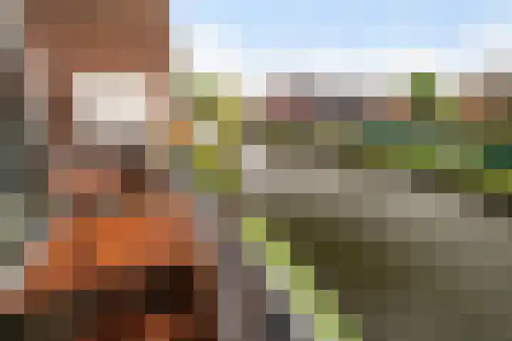 Rietveld 5 F Woerden thumbnail 20