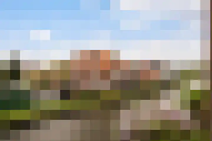 Rietveld 5 F Woerden thumbnail 21