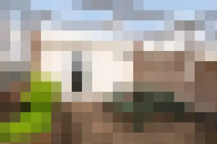 Rietveld 5 F Woerden thumbnail 25