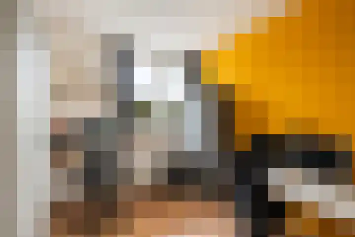 Rietveld 5 F Woerden thumbnail 26