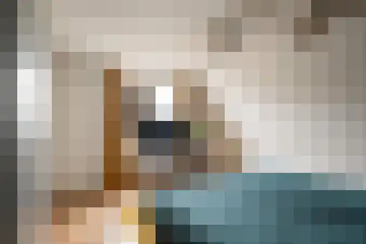 Rietveld 5 F Woerden thumbnail 30