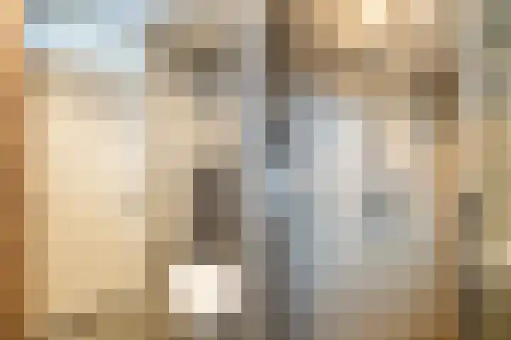 Rietveld 5 F Woerden thumbnail 31