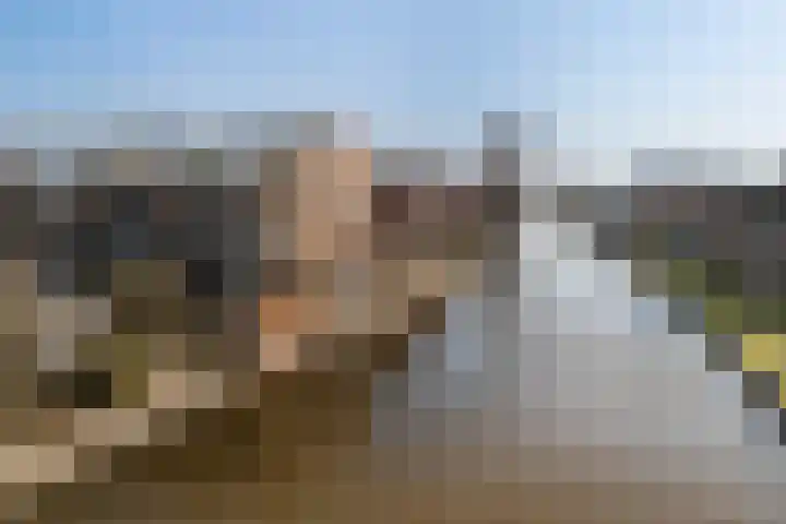 Rietveld 5 F Woerden thumbnail 35