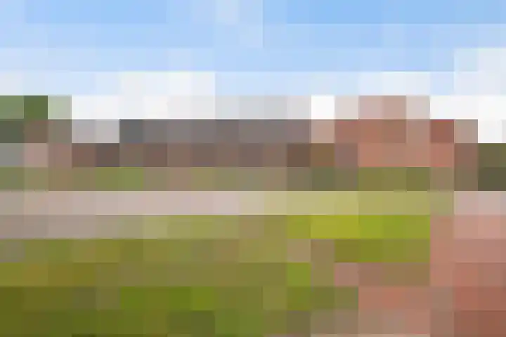 Rietveld 5 F Woerden thumbnail 39