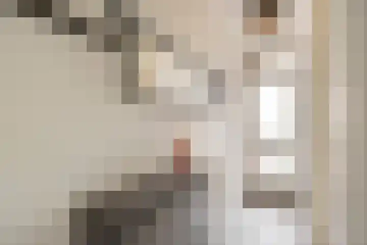 Rietveld 5 F Woerden thumbnail 5