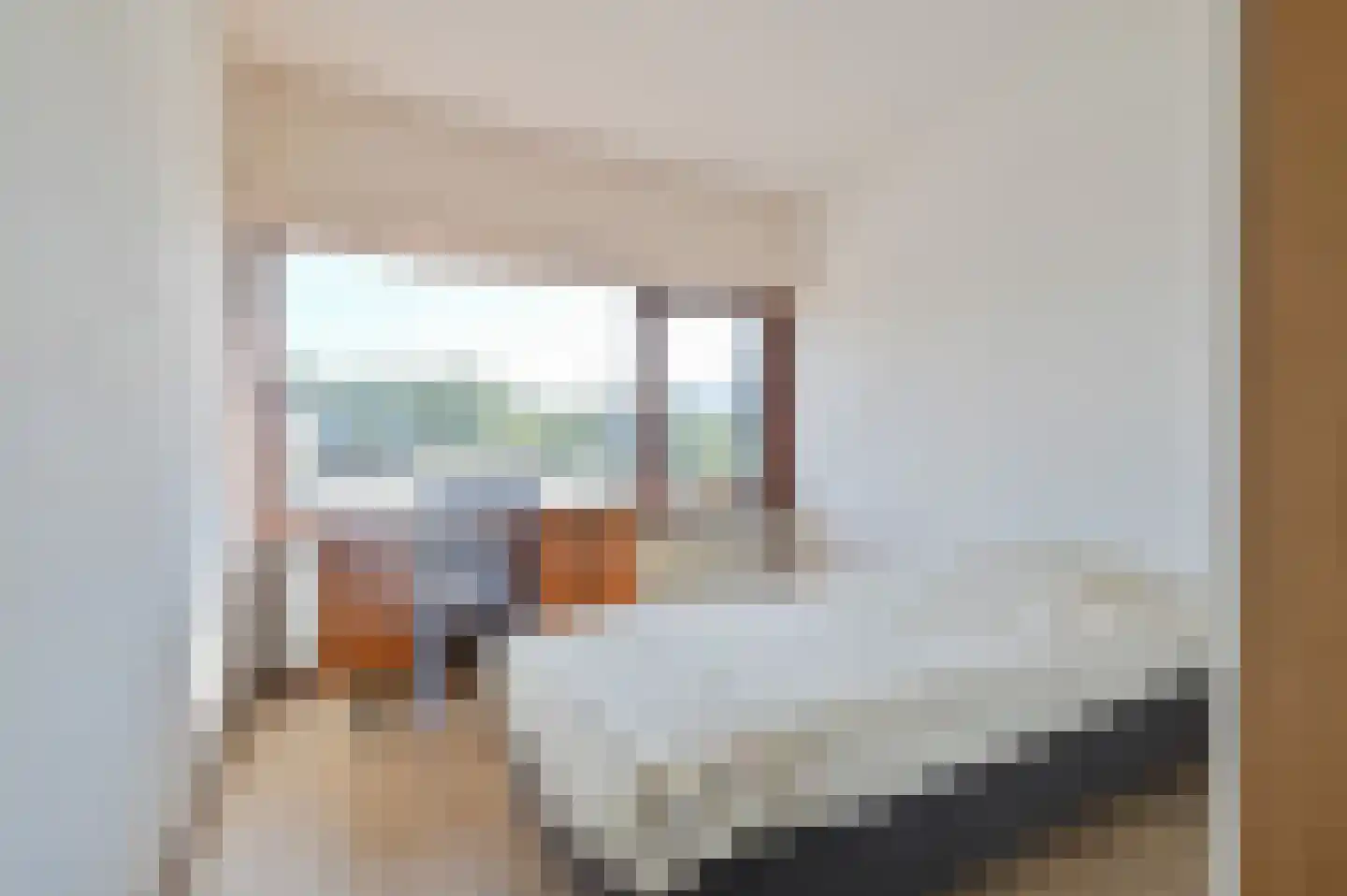 Rietveld 50 Vinkeveen thumbnail 17