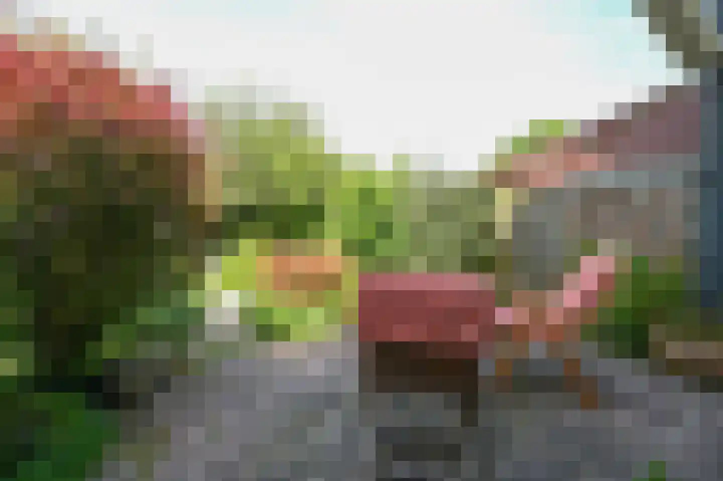 Rietveld 50 Vinkeveen thumbnail 23