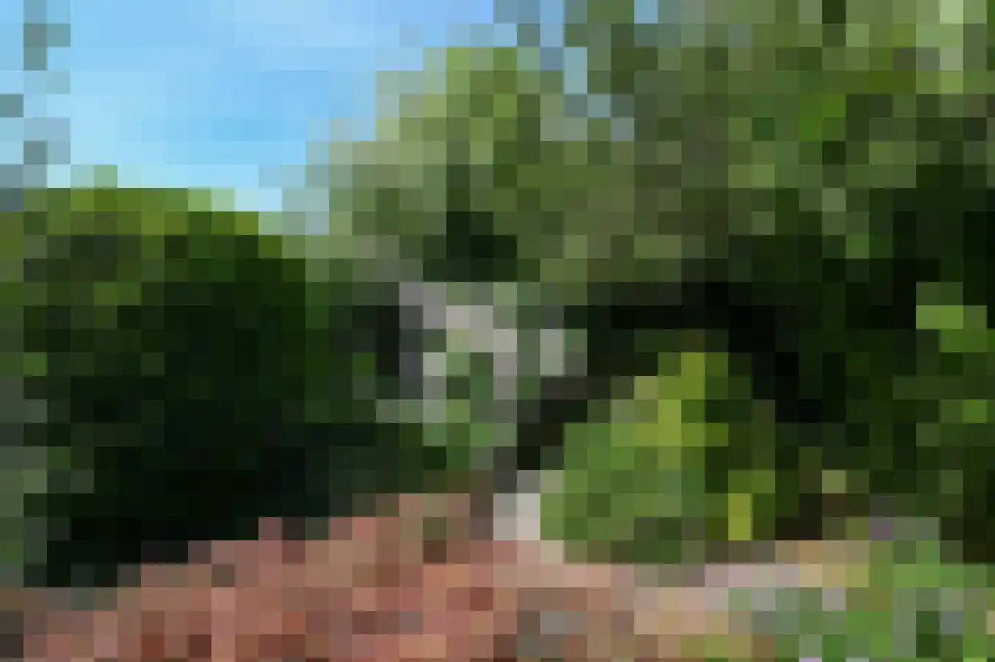 Rietveld 50 Vinkeveen thumbnail 24