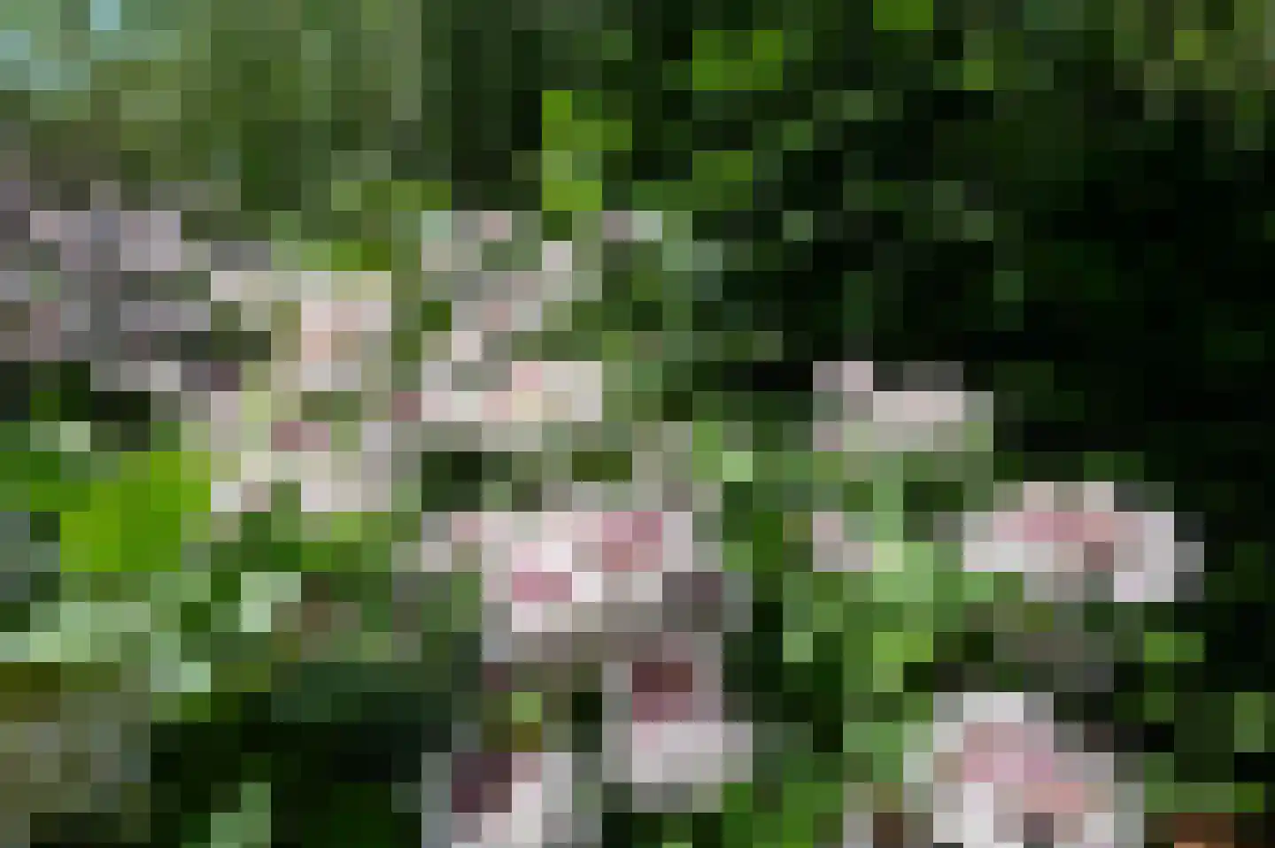 Rietveld 50 Vinkeveen thumbnail 25