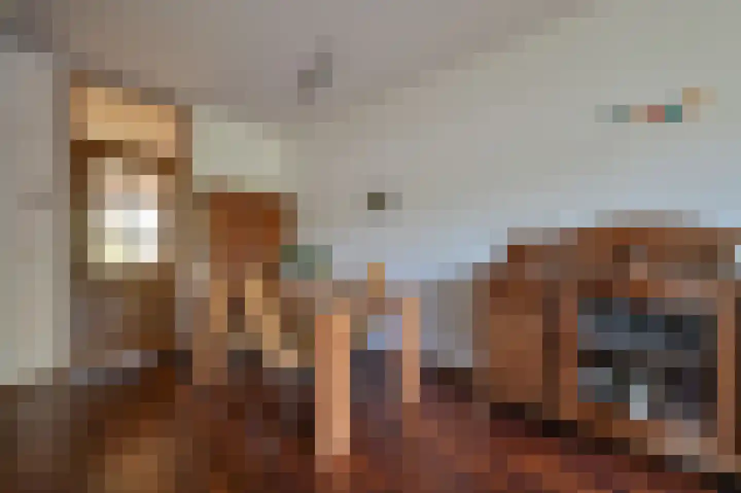 Rietveld 50 Vinkeveen thumbnail 6