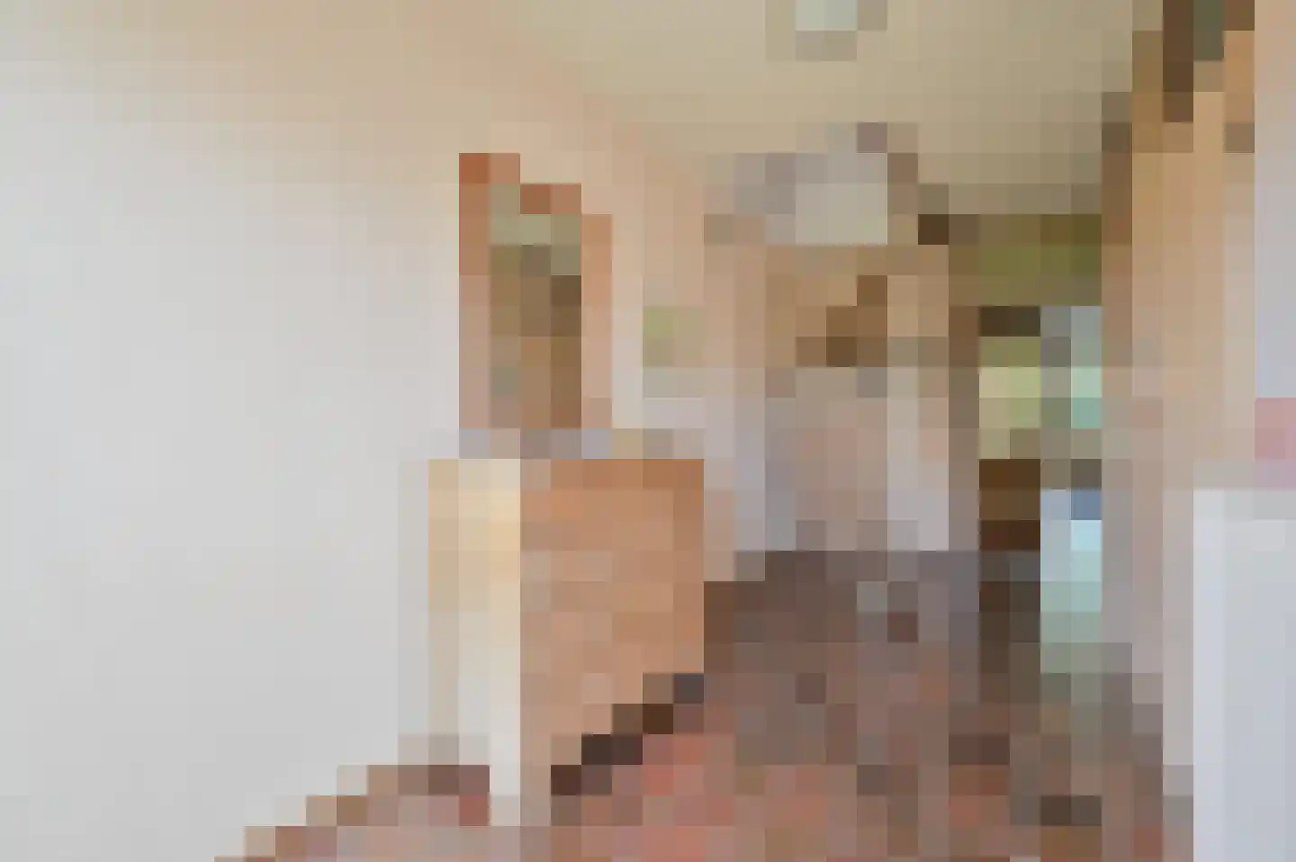 Rietveld 50 Vinkeveen thumbnail 9
