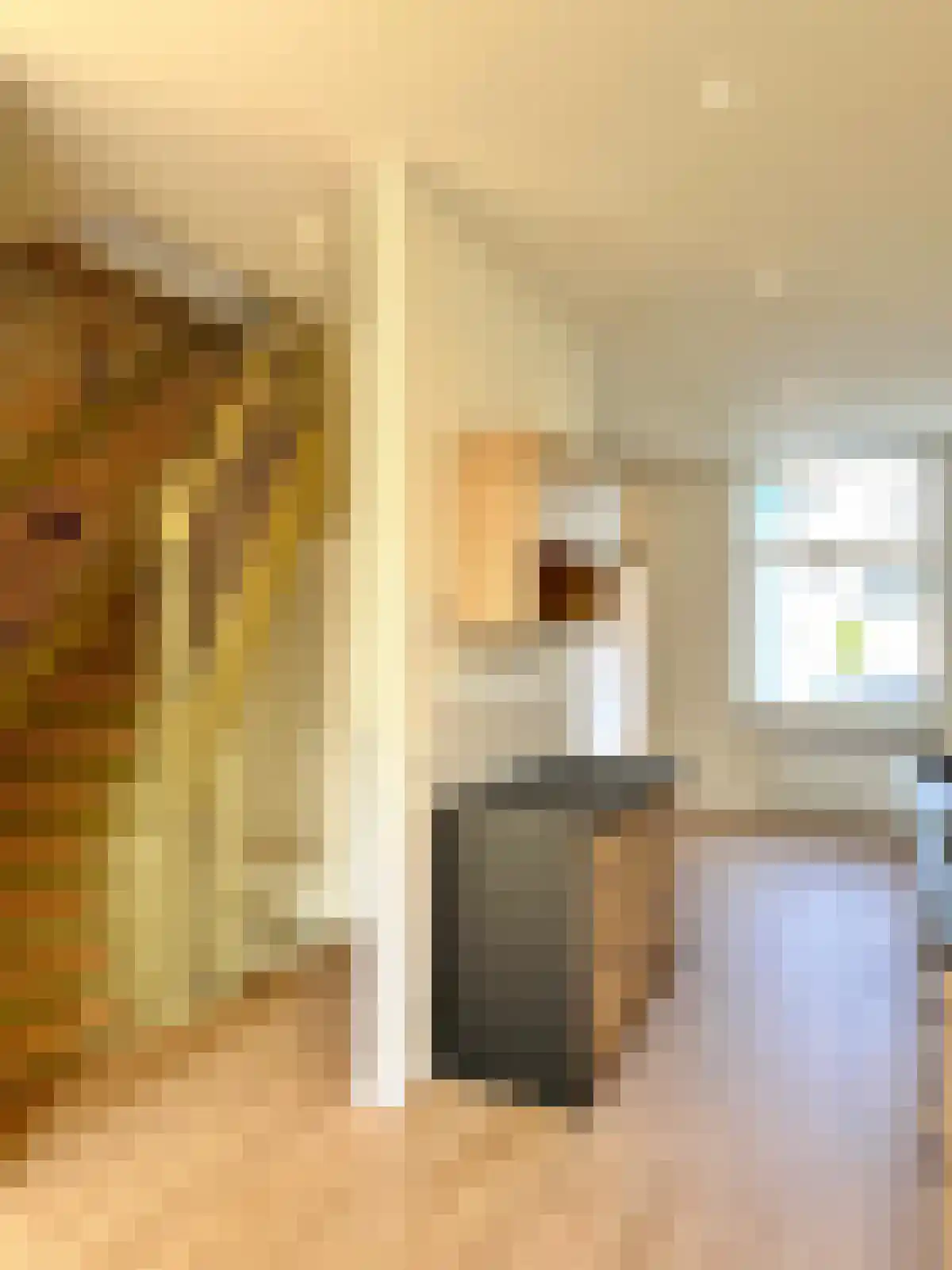 Rietveld 62 Delft thumbnail 6