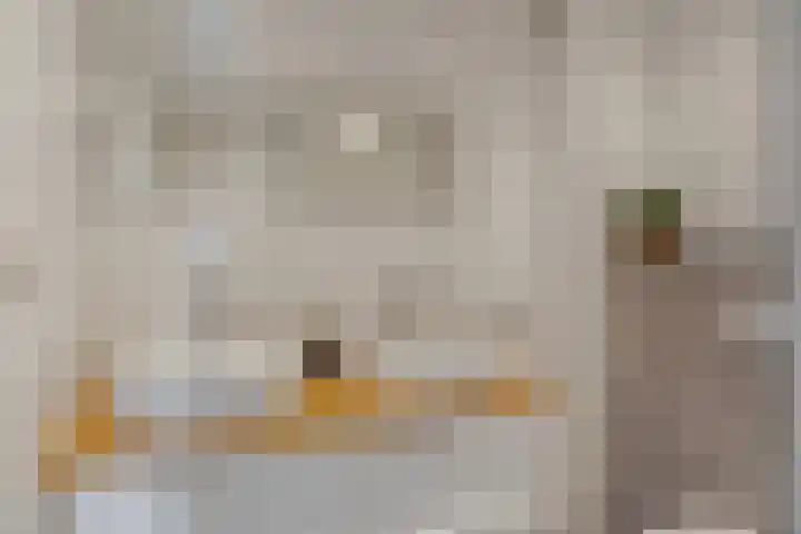 Rietveld 7 Wouw thumbnail 19