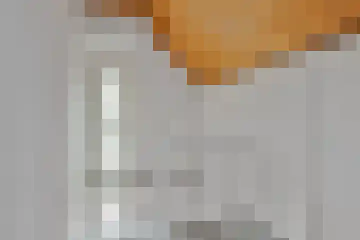 Rietveld 7 Wouw thumbnail 24
