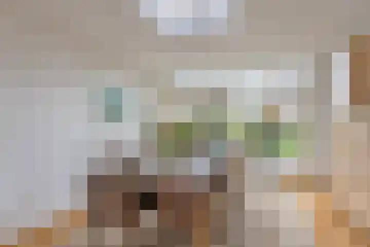 Rietveld 7 Wouw thumbnail 4