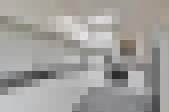 Rietveld 7 Wouw thumbnail 5