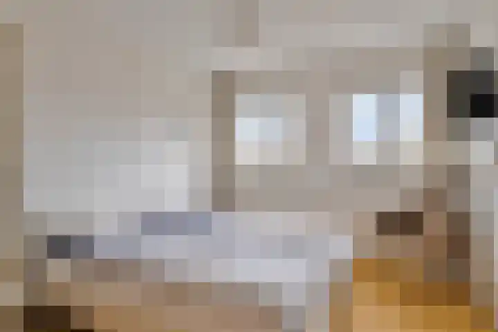 Rietveld 7 Wouw thumbnail 6