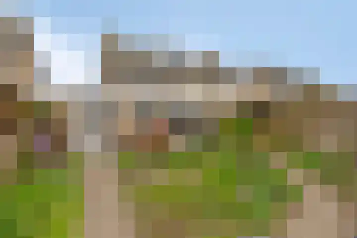 Rietveld 7 Wouw thumbnail 8
