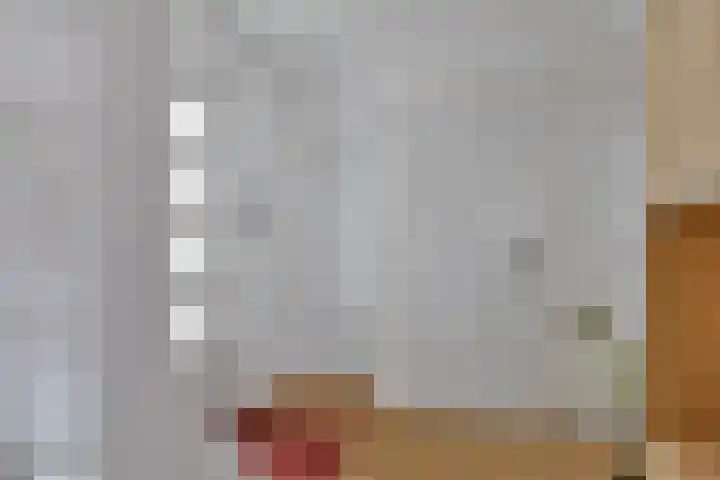 Rietveld 7 Wouw thumbnail 9