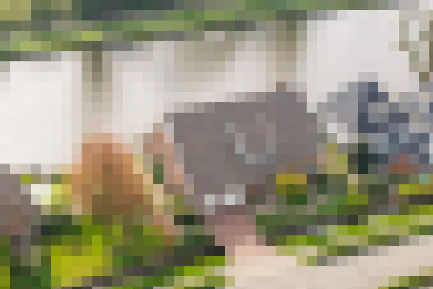 Rietveld 83 B Woerden thumbnail 4