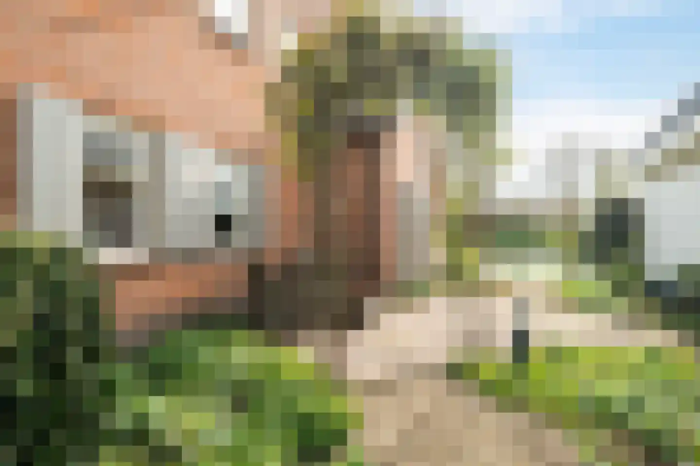 Rietveld 83 B Woerden thumbnail 40