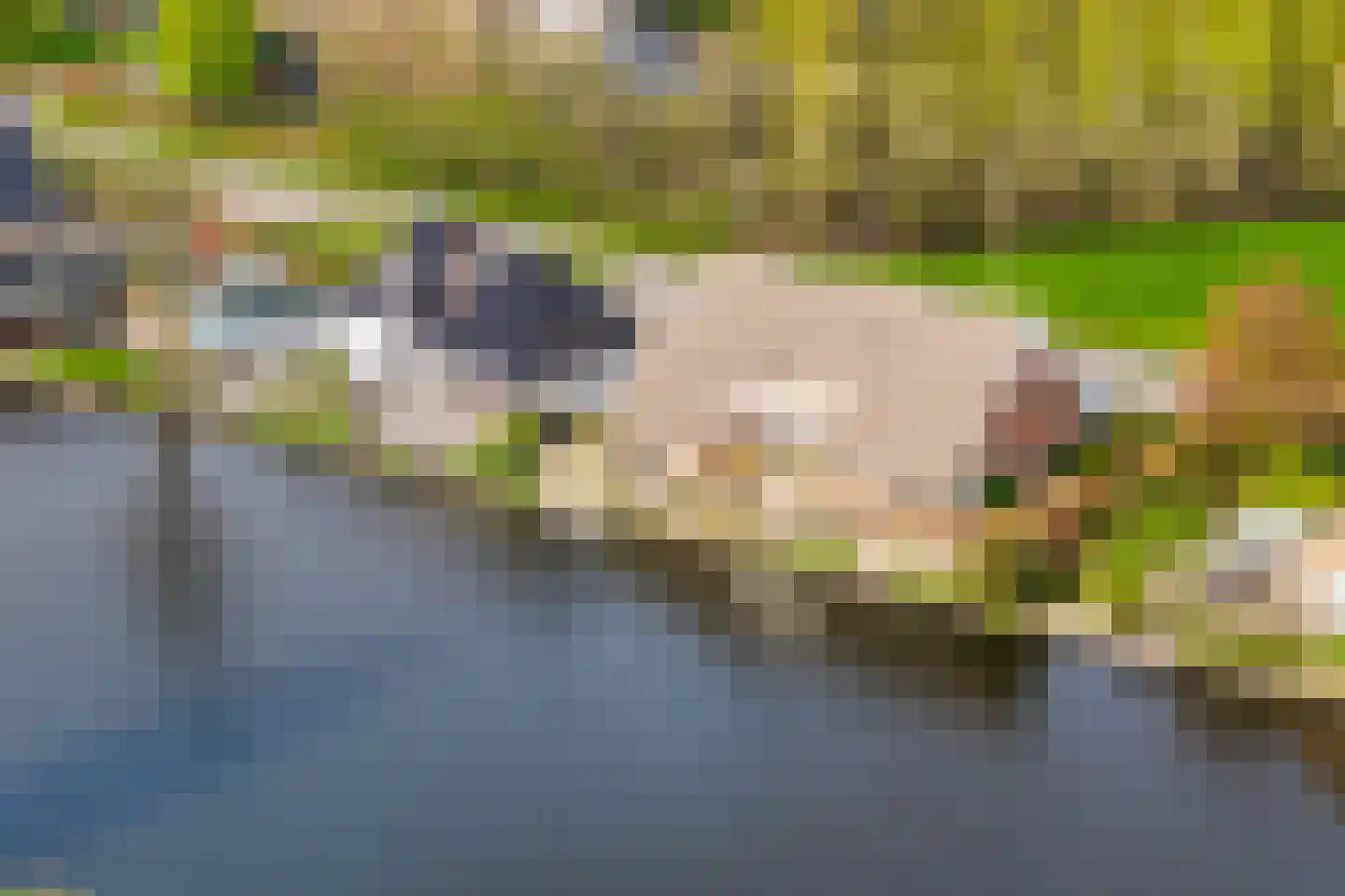 Rietveld 83 B Woerden thumbnail 47