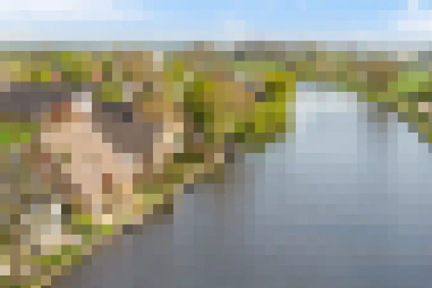 Rietveld 83 B Woerden thumbnail 49