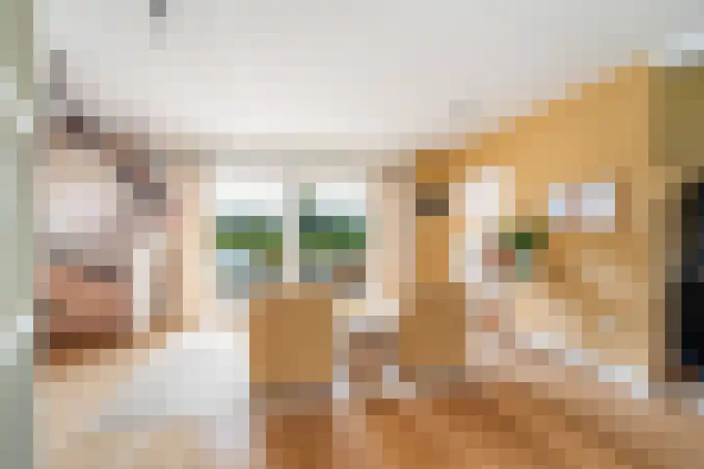 Rietveld 83 B Woerden thumbnail 9