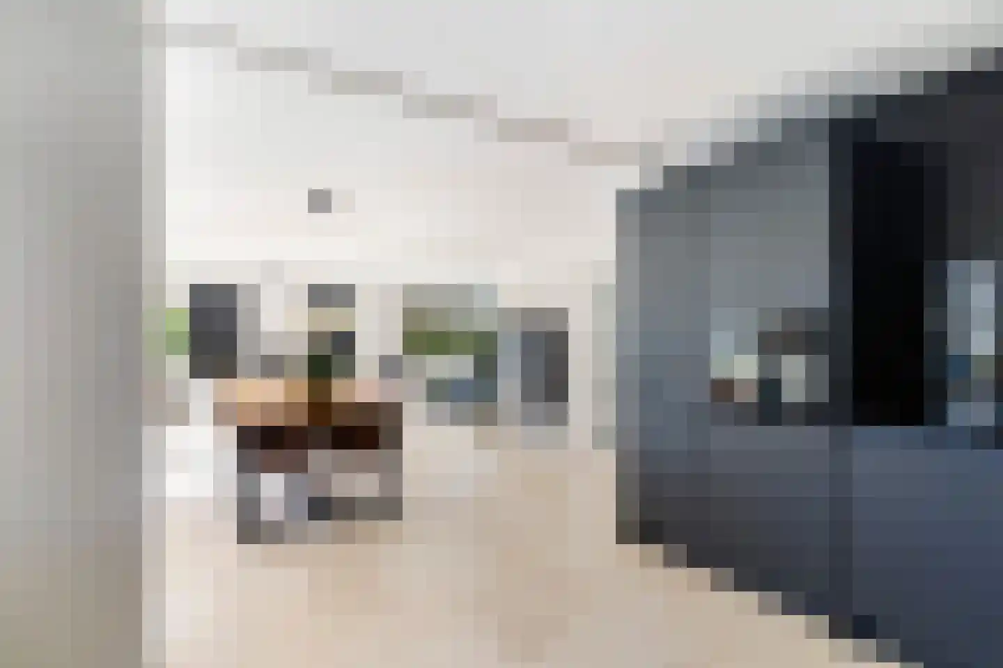 Rietveld 91 B Woerden thumbnail 12