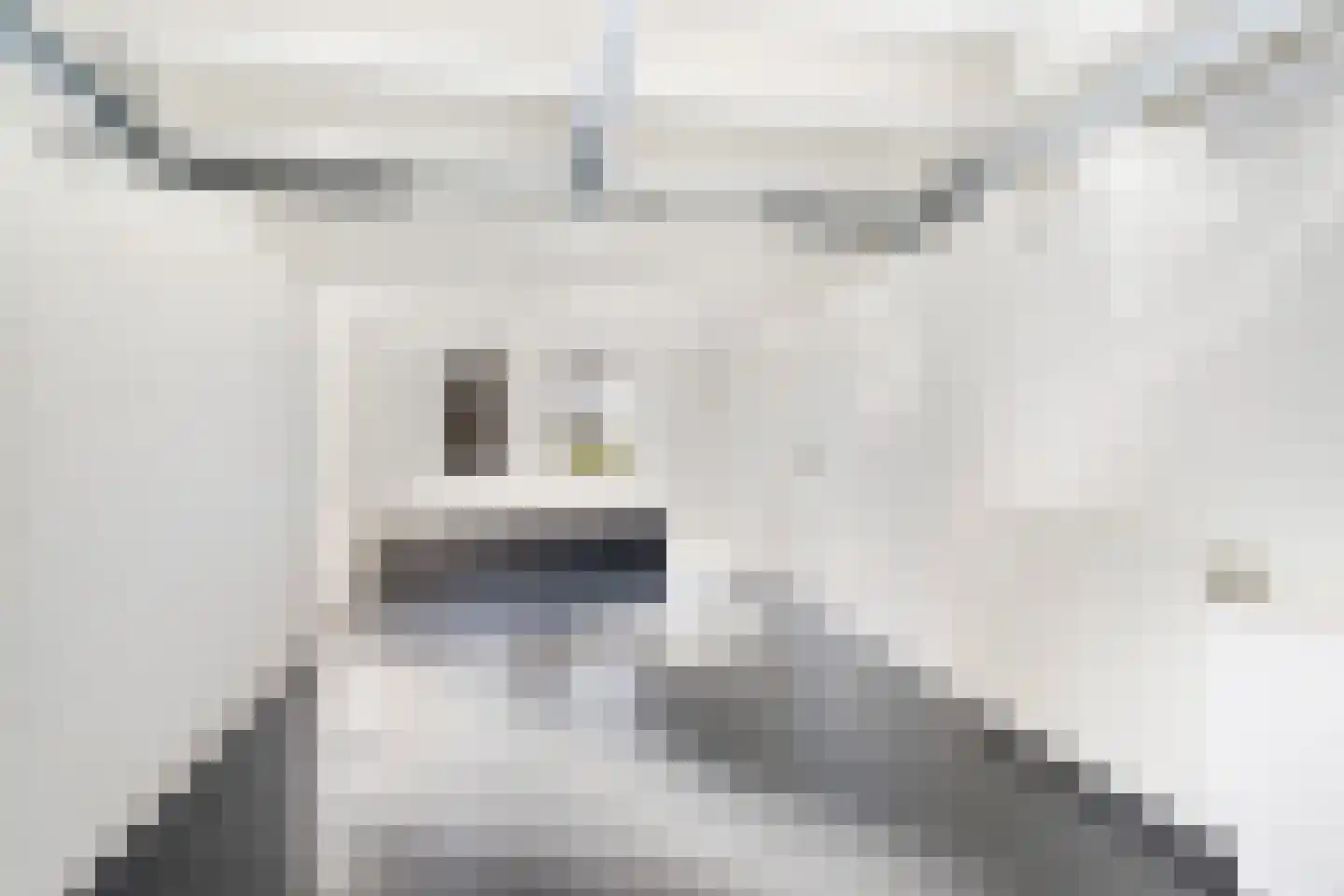 Rietveld 91 B Woerden thumbnail 18