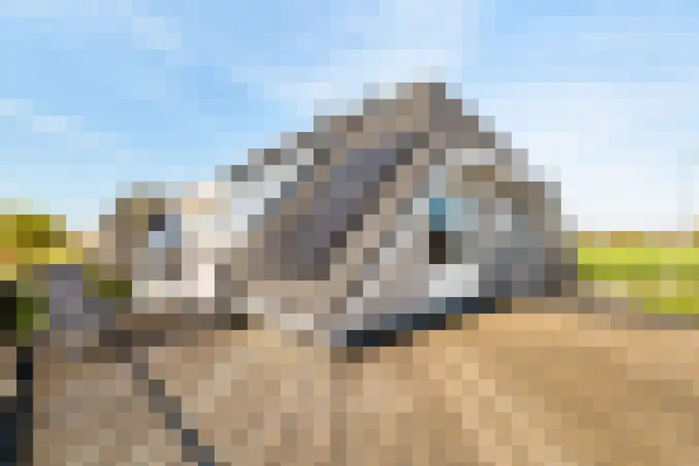Rietveld 91 B Woerden thumbnail 25
