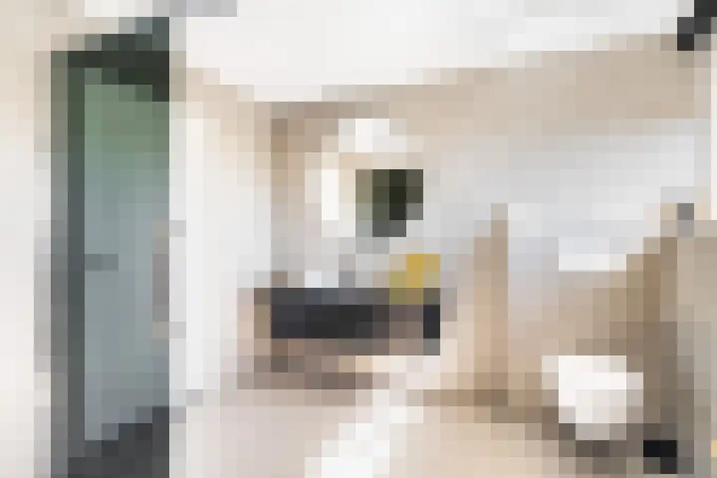 Rietveld 91 B Woerden thumbnail 30