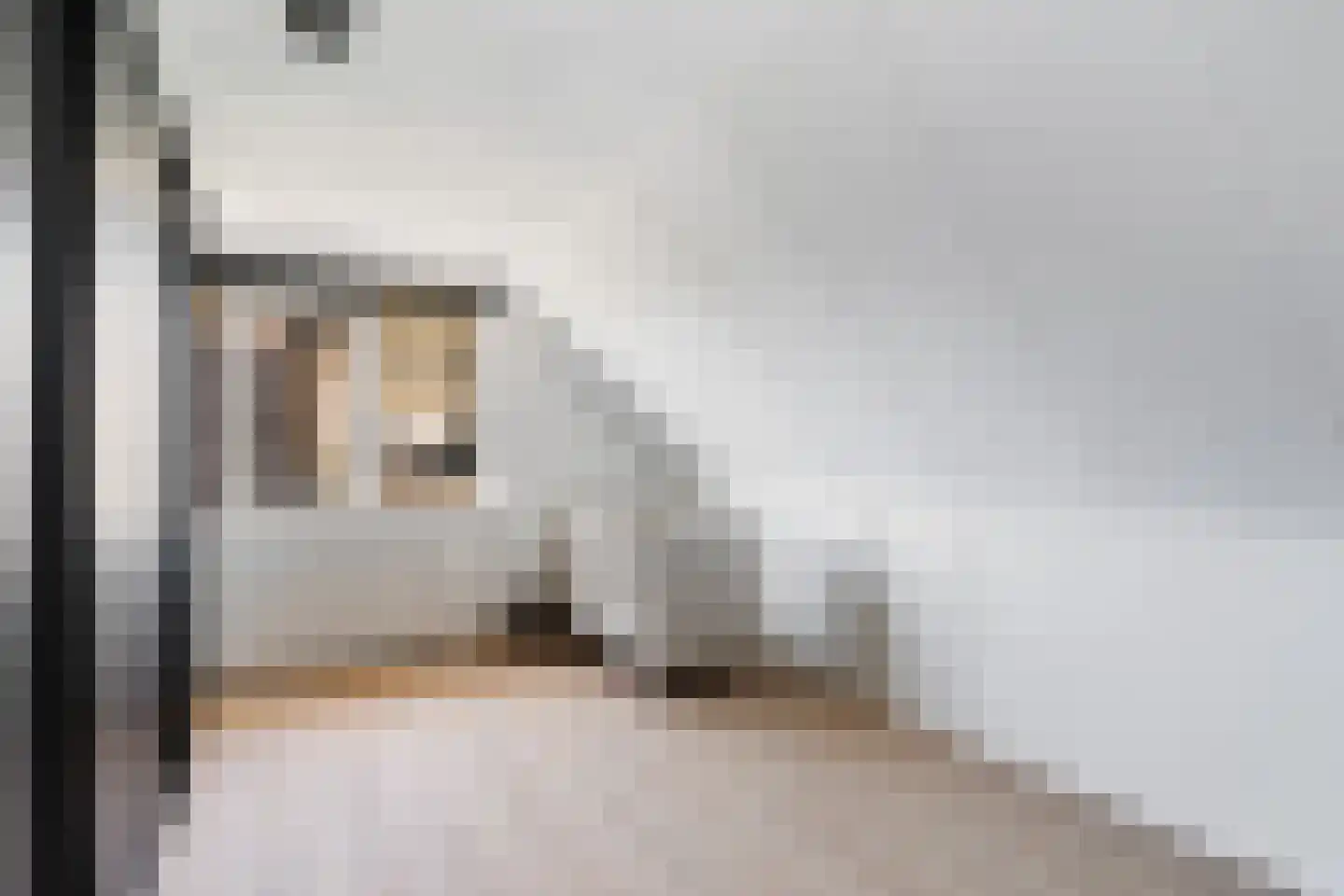Rietveld 91 B Woerden thumbnail 32