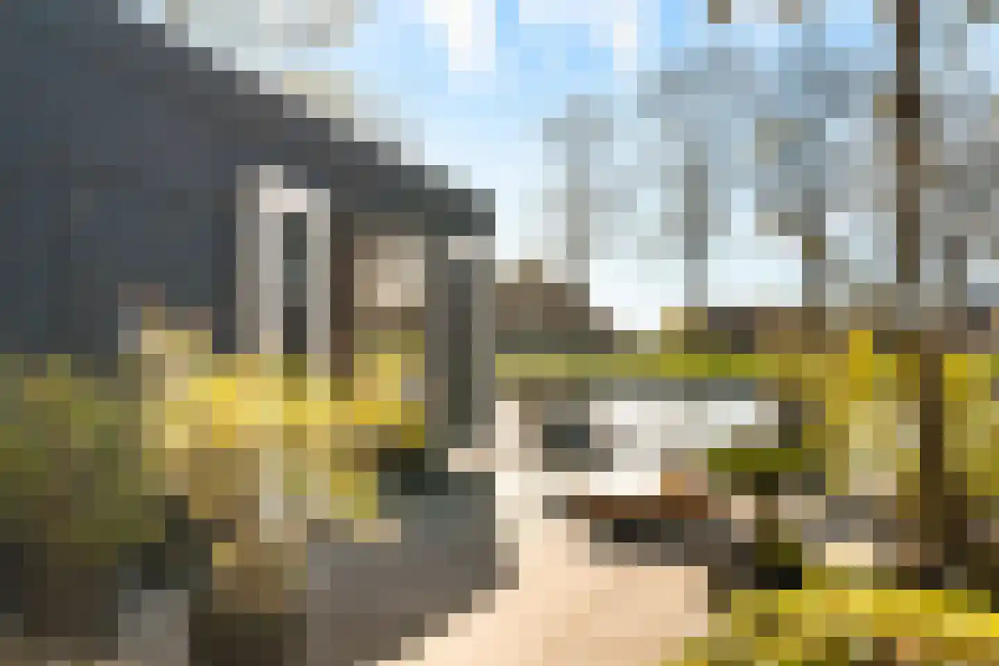Rietveld 91 B Woerden thumbnail 40