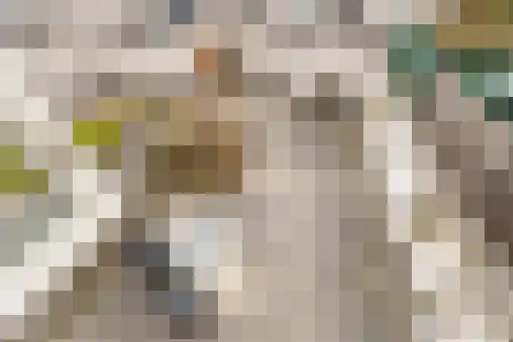 Rietveld-erf 160 Dordrecht thumbnail 35
