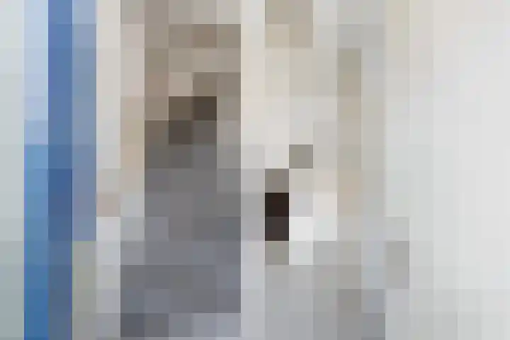 Rietveld-erf 160 Dordrecht thumbnail 6