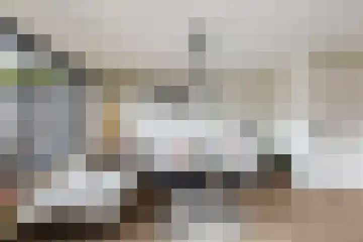 Rietveld-erf 19 Dordrecht thumbnail 18