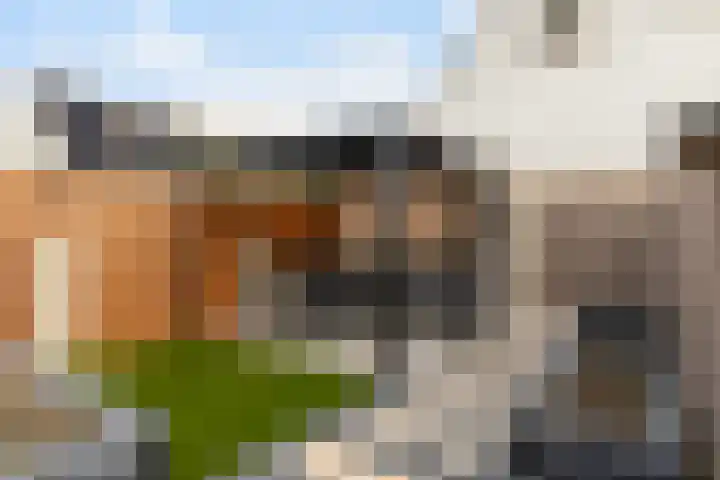Rietveld-erf 19 Dordrecht thumbnail 31