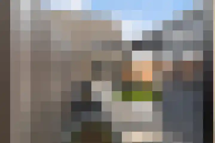 Rietveld-erf 19 Dordrecht thumbnail 33
