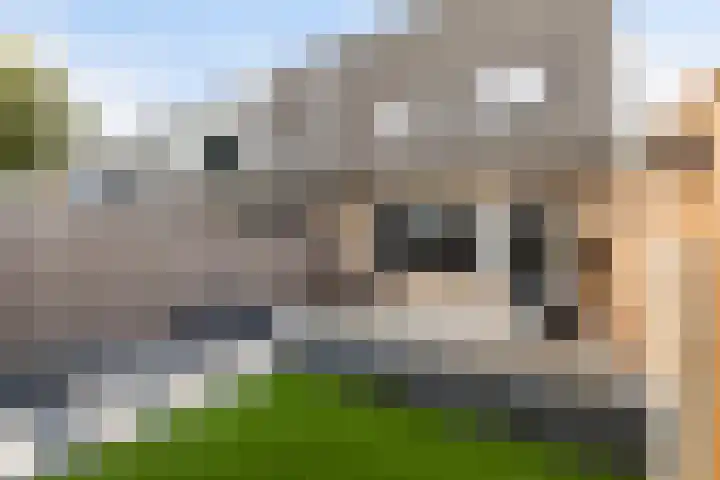 Rietveld-erf 19 Dordrecht thumbnail 34