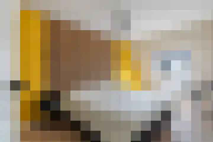 Rietveld-erf 19 Dordrecht thumbnail 39