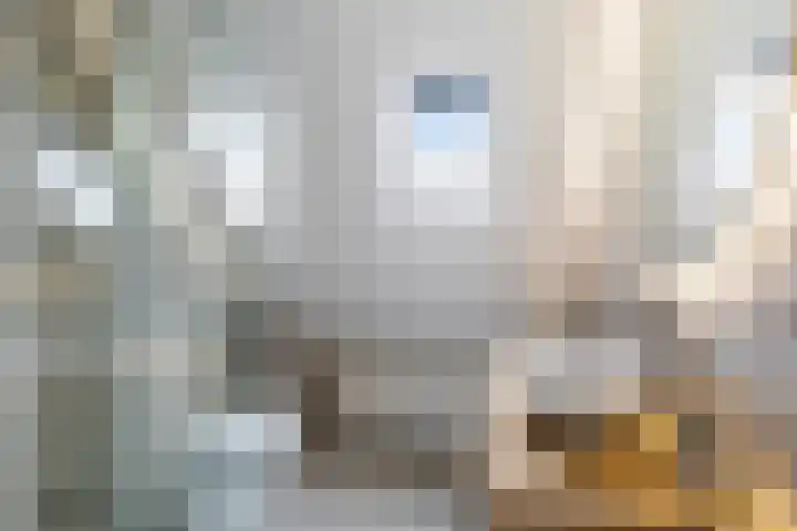 Rietveld-erf 19 Dordrecht thumbnail 4
